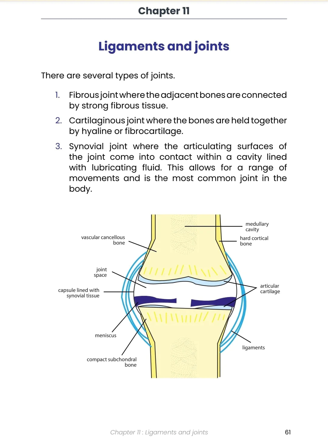 Ananthams' Orthopaedics Orthopaedics for The Legal Profession